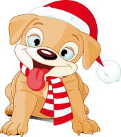 a cute santa dog